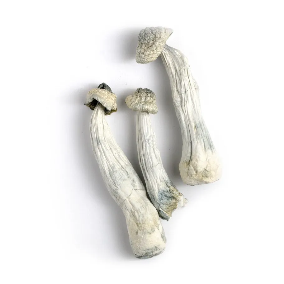 Buy psilocybin mushrooms UK with discreet shipping -
