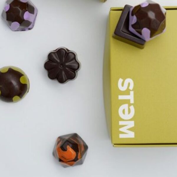 Buy STEM VEGAN X DRIP ASSORTED CHOCOLATE BOX