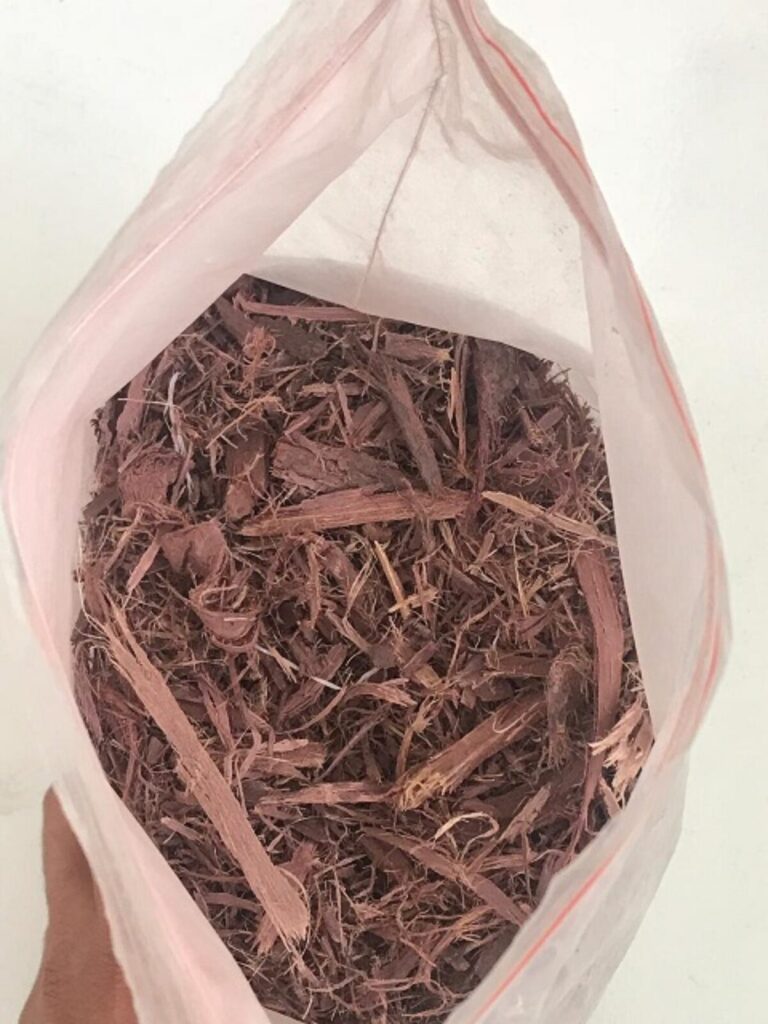 Buy your High-Quality Mimosa Hostilis root bark (MHRB)