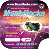 Galindoi Mushrocks - Discreet Magic mushrooms