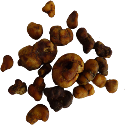 Psilocybe Atlantis - Discreet Magic mushrooms