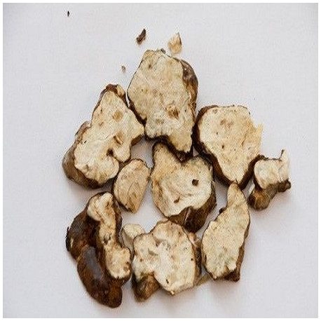 Psilocybe Hollandia - Discreet Magic mushrooms