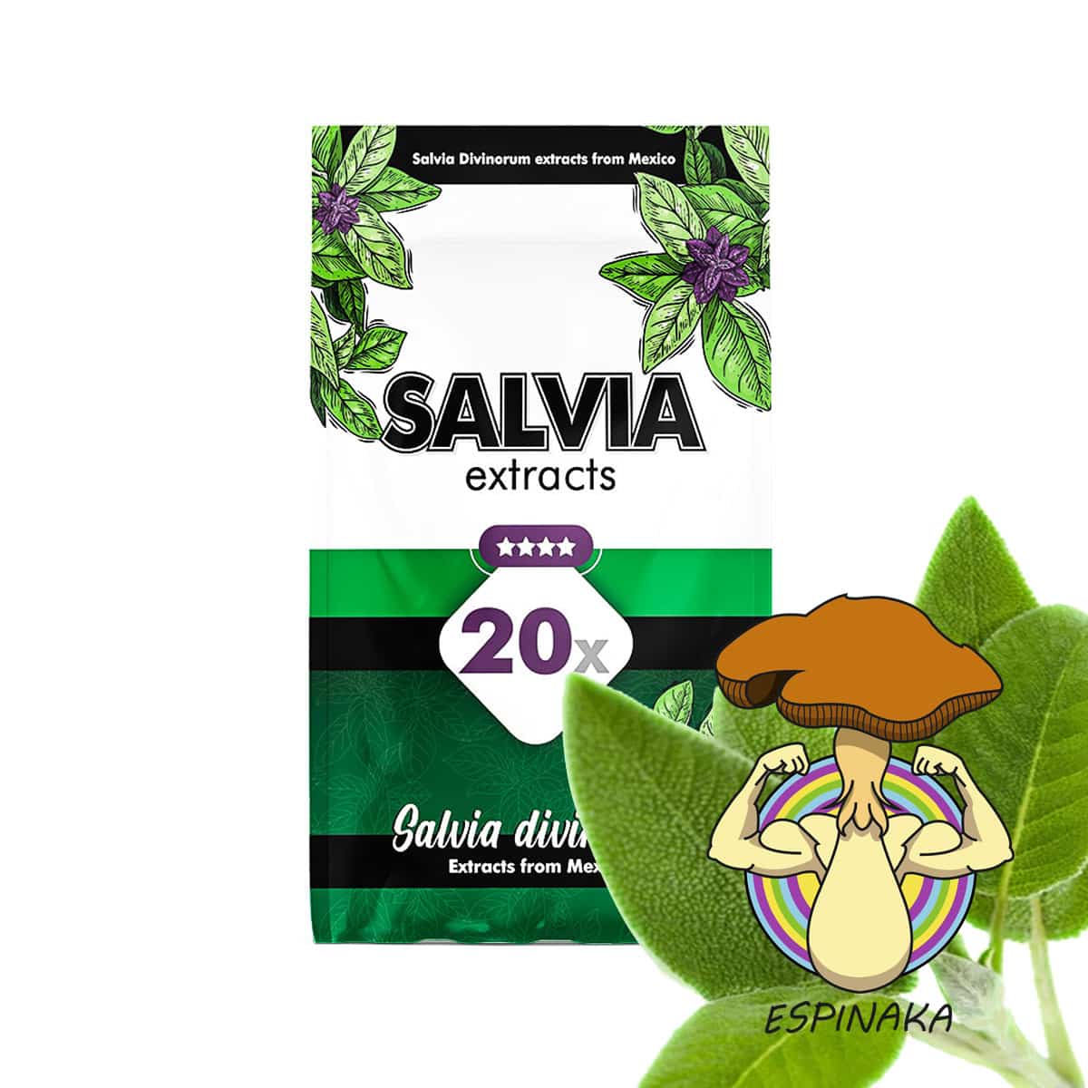 Salvia Divinorum Plant Buy - Salvia Divinorum Plant For Sale