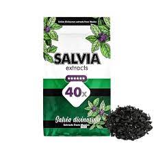 Salvia Divinorum Plant For Sale - Buy Salvia Divinorum Online